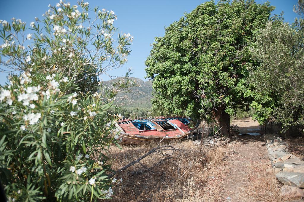 Blue Pearl Villa AmigdhalokeFálion Dış mekan fotoğraf